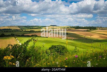 En regardant sur le périphérique de Chanctonbury depuis le périphérique de Cissbury lors d'une journée d'été venteuse et nuageux, on voit vraiment les champs de patchwork sur les South Downs. P Banque D'Images