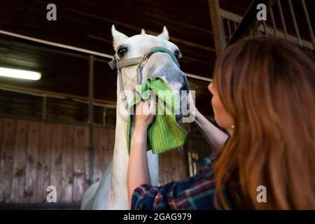 Femme et cheval dans la cabine. Banque D'Images