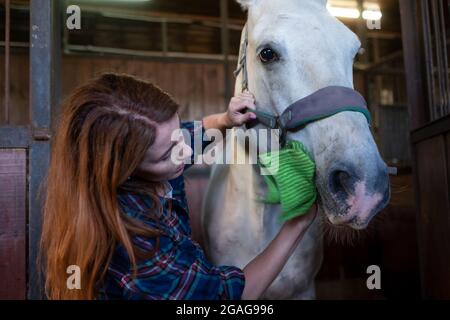 Femme et cheval dans la cabine. Banque D'Images