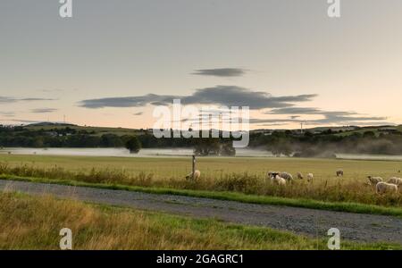 Paysage de la région appelée Struth près de la ville allemande Hallenberg le matin Banque D'Images