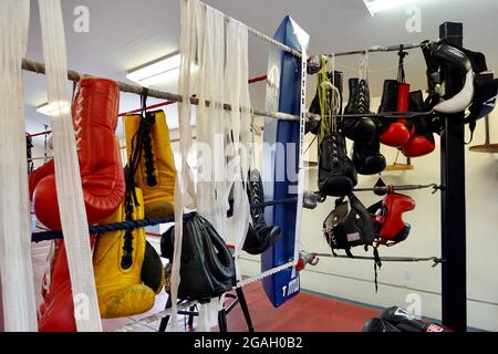 Des gants de boxe et des bracelets accrochent aux cordes d'un anneau de boxe. Banque D'Images