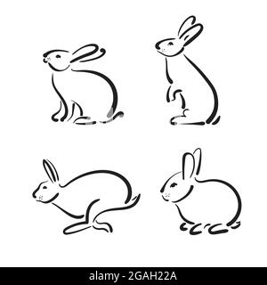 Groupe vectoriel de lapin dessiné à la main sur fond blanc. Animaux sauvages. Illustration de Vecteur