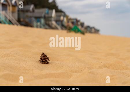 Un cône de sapin dans le sable de la plage, avec cabines de plage à l'arrière-plan flou, vu dans les puits-next-the-Sea, Norfolk, England, UK Banque D'Images