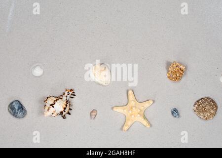 Arrière-plan horizontal d'été - étoiles de mer et coquillages sur le sable de la plage. Place pour une inscription. La base de la carte postale. Vue de Banque D'Images
