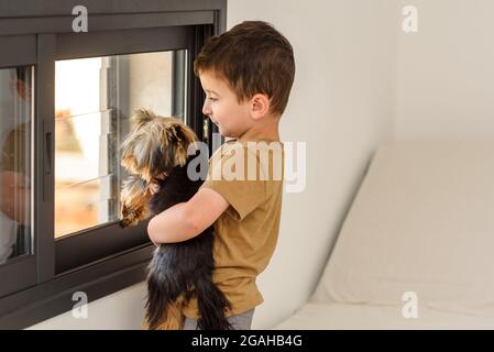 Litttel garçon avec le meilleur ami chien regardant par la fenêtre. Banque D'Images