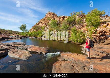 Randonneur portant un t-shirt rouge et regardant Bell gorge, une destination renommée dans la région de Kimberley, Gibb River Road, Australie occidentale, Australie occidentale, Australie occidentale Banque D'Images