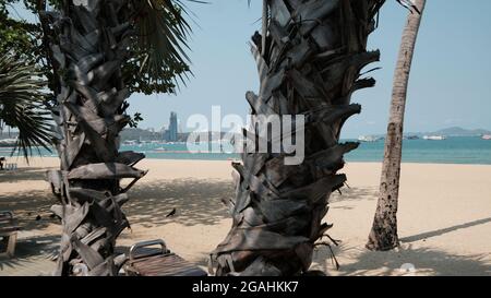 Pattaya Beach Thaïlande pendant une très courte réouverture Banque D'Images