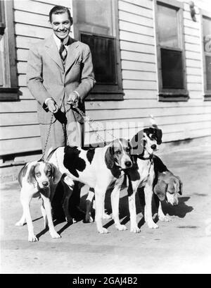 CLARK PIGNON Candid sur le terrain de MGM Studio en 1934 avec la publicité de Fox Hound Dogs pour Metro Goldwyn Mayer Banque D'Images