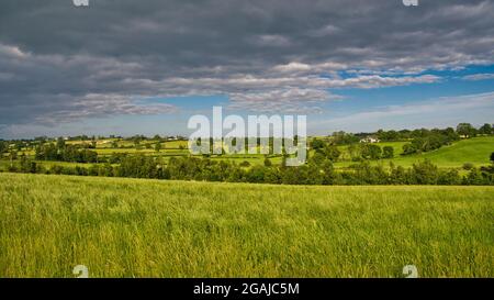 Champs agricoles verdoyants et riches, près de Markethill, dans le comté d'Armagh, en Irlande du Nord, au Royaume-Uni. Une vue panoramique prise lors d'une journée ensoleillée. Banque D'Images