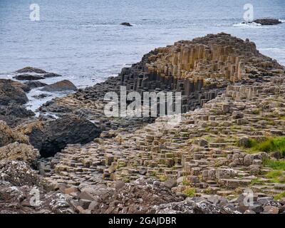 Colonnes de basalte à Giants Causeway sur la côte d'Antrim, Irlande du Nord, Royaume-Uni Banque D'Images