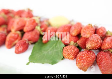 Beaucoup de fraises et un abricot jaune à feuille verte se trouvent sur un rebord de fenêtre blanc Banque D'Images