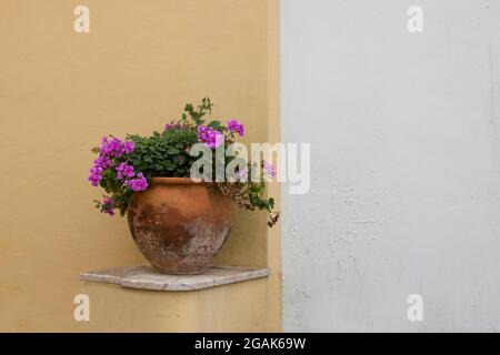 Détail de la décoration extérieure traditionnelle de la maison avec géraniums roses dans un ancien pot de fleurs sales debout sur une étagère en marbre et un mur blanc et jaune Banque D'Images