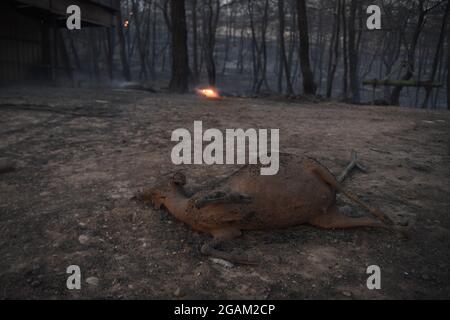 Toutes les maisons ont été brûlées lors de feux de forêt au village d'Ulukapi Sulek, près de la région de Manavgat, à Antalya. Plus de 70 feux de forêt ont éclaté cette semaine dans les provinces des côtes de la mer Égée et de la Méditerranée ainsi que dans les zones intérieures de la Turquie. Des villages et certains hôtels ont été évacués dans des zones touristiques et les gens ont été enfugés à travers les champs alors que des incendies ont fermé sur leurs maisons. Au moins quatre personnes ont été tuées par des blazettes qui ont balayé les régions touristiques d'Antalya, Manavgat, Turquie, côte méditerranéenne de la Turquie, le 28 juillet 2021. Photo de Cenk Ozel/Depo photos/ABACAPRESS.COM Banque D'Images