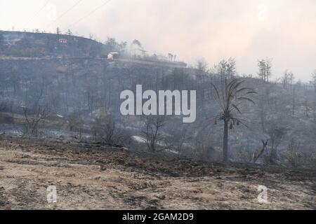 Toutes les maisons ont été brûlées lors de feux de forêt au village d'Ulukapi Sulek, près de la région de Manavgat, à Antalya. Plus de 70 feux de forêt ont éclaté cette semaine dans les provinces des côtes de la mer Égée et de la Méditerranée ainsi que dans les zones intérieures de la Turquie. Des villages et certains hôtels ont été évacués dans des zones touristiques et les gens ont été enfugés à travers les champs alors que des incendies ont fermé sur leurs maisons. Au moins quatre personnes ont été tuées par des blazettes qui ont balayé les régions touristiques d'Antalya, Manavgat, Turquie, côte méditerranéenne de la Turquie, le 28 juillet 2021. Photo de Cenk Ozel/Depo photos/ABACAPRESS.COM Banque D'Images