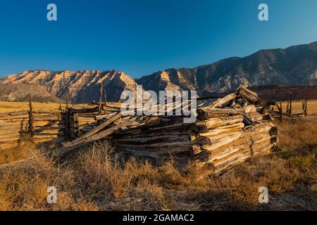 Grange en bois ou cabane à Ruple Ranch, une ancienne ferme à Island Park le long de la rivière Green, dans le monument national Dinosaur, Utah, États-Unis Banque D'Images
