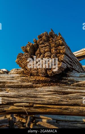 Des bûches dans une ancienne grange ou une cabane en bois à Ruple Ranch, une ancienne ferme à Island Park le long de la rivière Green à Dinosaur National Monument, Utah, Banque D'Images