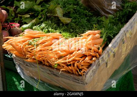 Autour de Devizes, une ville de marché dans le wiltshire angleterre Royaume-Uni. Le jour du marché est le jeudi Banque D'Images