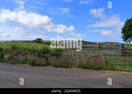 Champs et prairies sous un ciel bleu nuageux dans la campagne de Slapton Banque D'Images