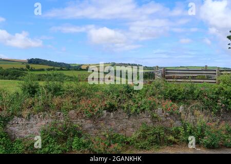 Paysage pittoresque autour de Slapton dans le sud du Devon Banque D'Images