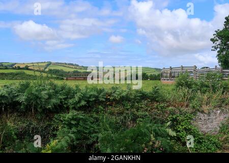 Vue panoramique sur les champs et les prairies de Slapton Banque D'Images