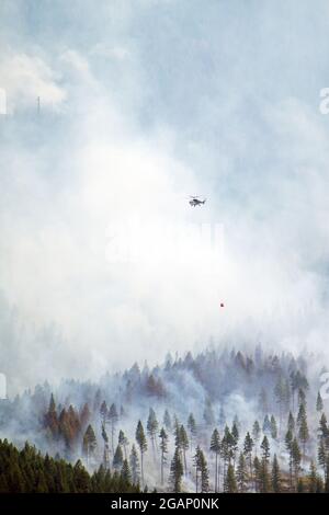 Hélicoptère de lutte contre un feu de forêt dans les montagnes Purcell, dans le nord-ouest du Montana. (Photo de Randy Beacham) Banque D'Images