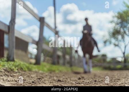 Femme pilote à cheval. Prise de vue en angle bas dans l'arène sablonneuse pendant la journée. Clôture en bois et arbres contre un ciel nuageux en arrière-plan. Equitation pour le concept de loisirs. Banque D'Images