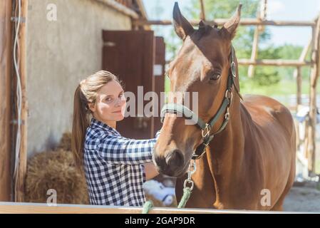 Cavalier femelle avec son cheval de baie sombre dans l'écurie pendant la journée. La fille est souriante et regarde l'appareil photo, préparant son cheval pour une promenade. Equitation pour le concept de loisirs. Banque D'Images