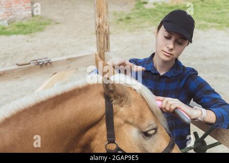 Femme propriétaire de cheval brossant la manie de son cheval brun clair dans la ferme de chevaux. La bride de cheval est attachée à la clôture en bois. Cheval de Flaxen avec une manie blonde entretenue par son propriétaire. Banque D'Images