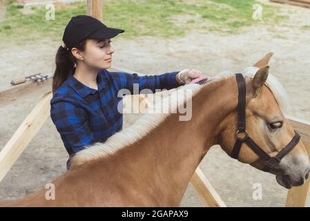 Femme propriétaire de cheval brossant la manie de son cheval brun clair dans la ferme de chevaux. La bride de cheval est attachée à la clôture en bois. Cheval de Flaxen avec une manie blonde entretenue par son propriétaire. Banque D'Images