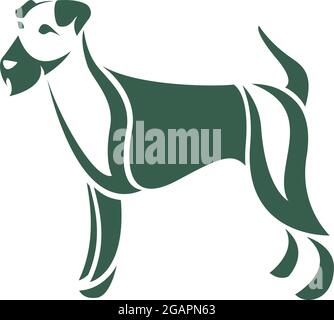 Image vectorielle d'un chien (terrier irlandais) sur fond blanc. Illustration vectorielle superposée facile à modifier. Animaux. Animaux de compagnie. Illustration de Vecteur