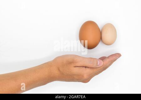 Concept de l'enflure du scrotum du côté droit ou de la douleur testiculaire. Comparaison entre les œufs de poulet standard et les œufs de bantam. Espace texte présent. Isolé sur blanc. Banque D'Images
