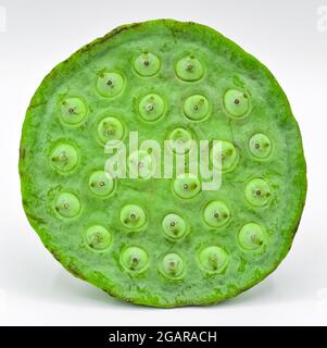 Cuisine traditionnelle de la rue du Myanmar. Image de Lotus Seeds avec espace de texte. Isolée sur fond blanc. Banque D'Images