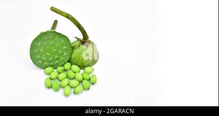 Image de Lotus Seeds avec espace de texte. Isolée sur fond blanc. Banque D'Images