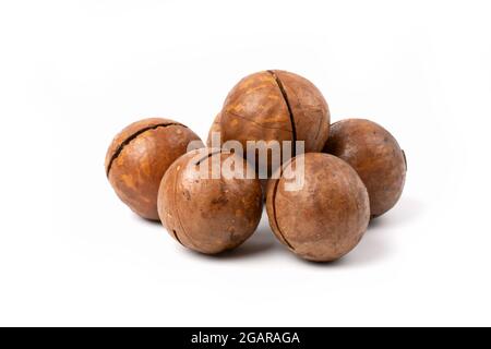 Pile de noix de macadamia en gros plan, isolée sur fond blanc. Banque D'Images