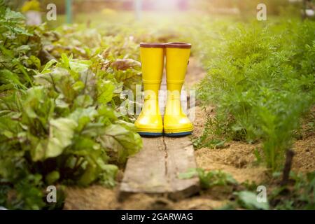 Un gros plan de bottes en caoutchouc jaune dans un beau jardin vert. Banque D'Images