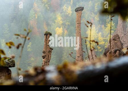 Les pyramides de terre dans le brouillard d'automne, Renon/Ritten, Bolzano, Tyrol du Sud, Italie Banque D'Images
