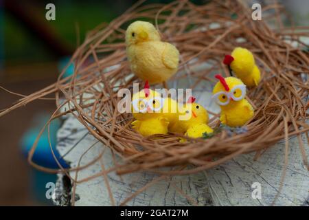 Poulets dans le nid. Les poulets sont faits de laine. Décoration pour la cour de jardin d'enfants. Maison de poulets dans la rue. Oiseaux jaunes mignons. Banque D'Images