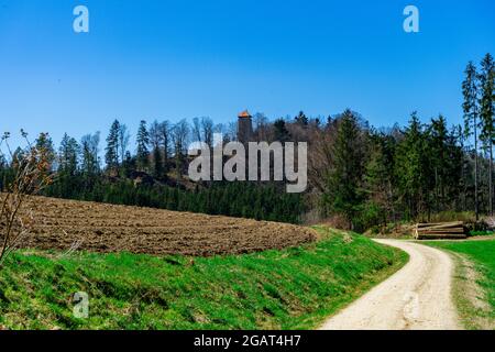 Marchez jusqu'aux ruines du château d'Altnussberg dans la forêt bavaroise Banque D'Images