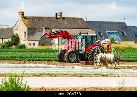 Tracteur dans une ferme, département de la Manche, Cotentin, Normandie, France Banque D'Images