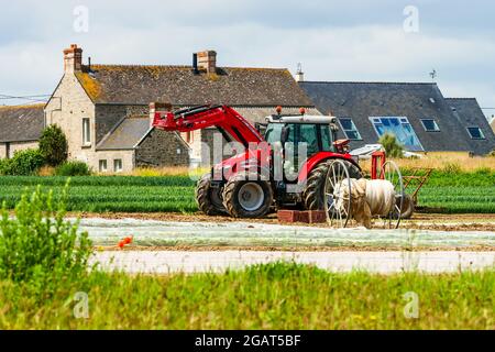 Tracteur dans une ferme, département de la Manche, Cotentin, Normandie, France Banque D'Images