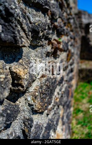 Marchez jusqu'aux ruines du château d'Altnussberg dans la forêt bavaroise Banque D'Images