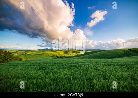 Paysage vert unique dans la vallée de Volterra, Toscane, Italie. Ciel spectaculaire et coucher de soleil sur les collines cultivées et les champs de céréales. TOS Banque D'Images