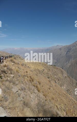 Colca Canyon au Pérou à la recherche de Condors ou Condor colline montagnes montagnes vieux bleu ciel pistes chemin route brûlé paysage vent pentes venteuses Banque D'Images