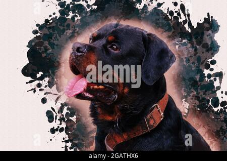 Peinture à l'aquarelle numérique d'un Rottweiler mâle adulte. L'animal de taille impressionnante est assis avec sa bouche ouverte et sa langue pendante. Contempora Banque D'Images