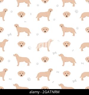 Labrador Retriever chiens dans différentes poses et couleurs de pelage sans couture motif. Illustration vectorielle Illustration de Vecteur