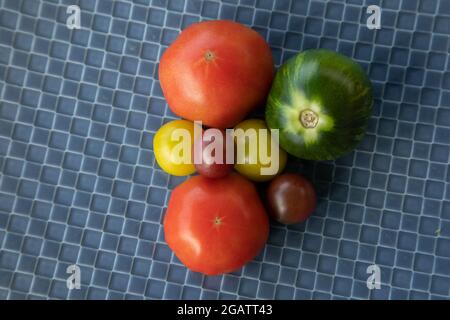 Tomates vertes, rouges et jaunes sur un plateau bleu Banque D'Images