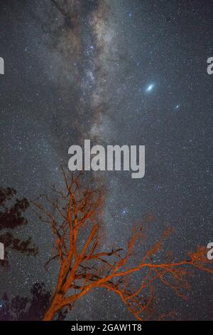 Milky Way , Warrumbungles Dark Sky Reserve centre-ouest NSW Australie Banque D'Images