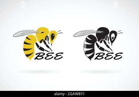 Motif vectoriel d'abeille sur fond blanc. Insecte. Animaux. Illustration vectorielle superposée facile à modifier. Illustration de Vecteur