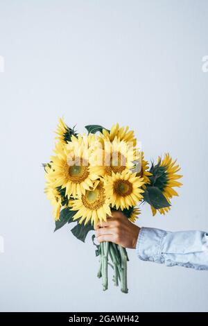 La main des femmes tient le bouquet de tournesol jaune sur fond blanc. Concept floral d'été. Photo de haute qualité Banque D'Images