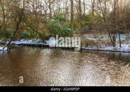 Southcrest Wood à Redditch, Worcestershire pendant l'hiver. Banque D'Images